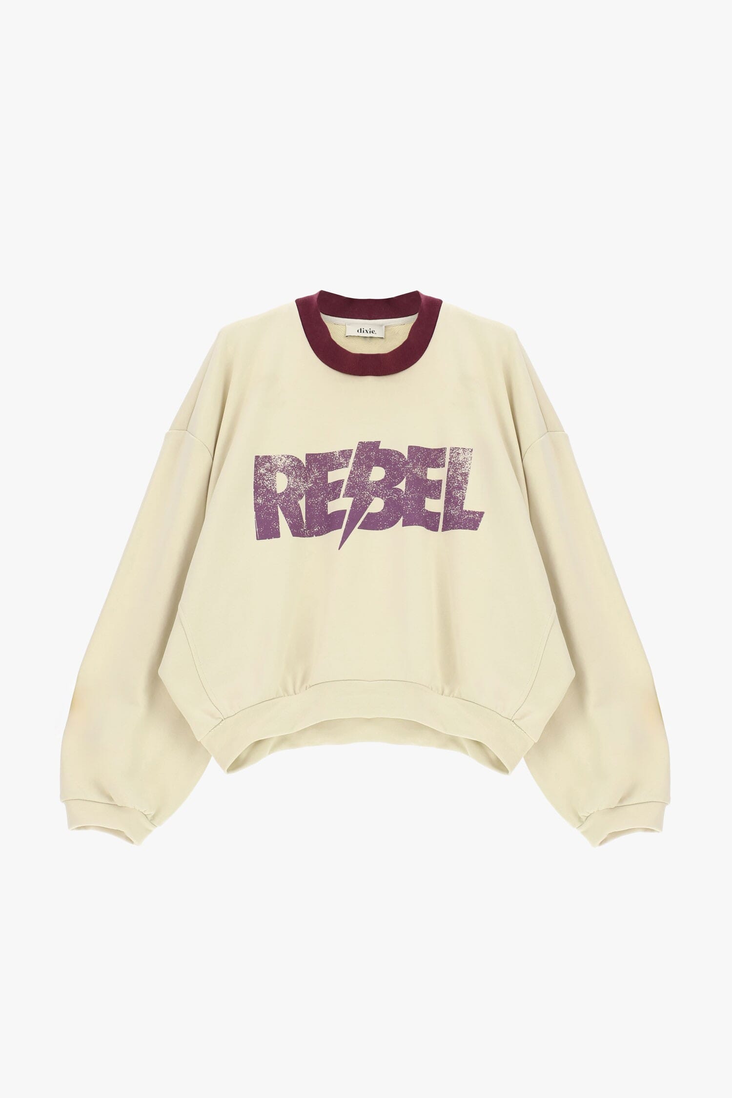 Felpa Girocollo Con Stampa Grafica Rebel Dixie
