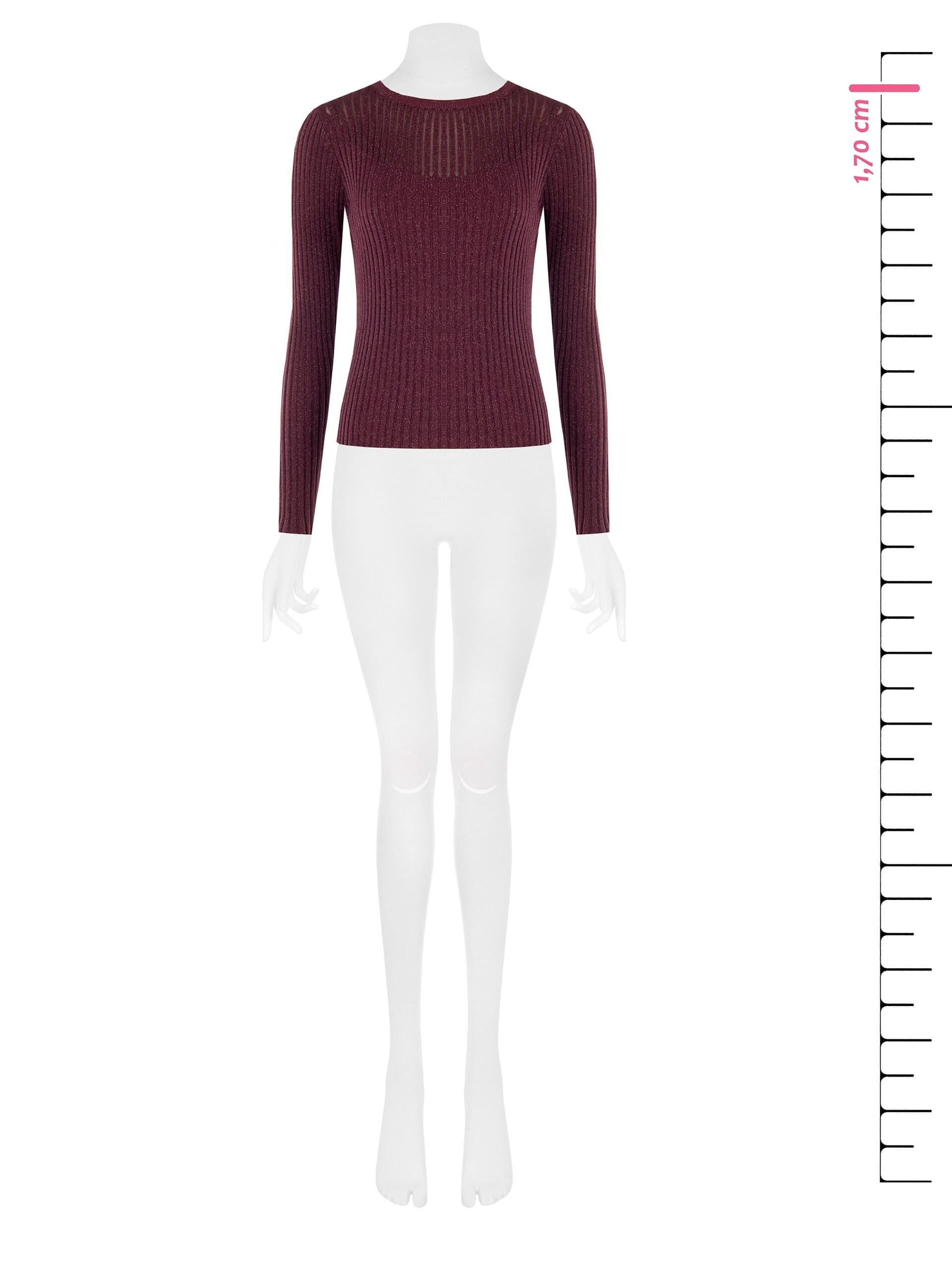 Rinascimento Fitted Sweater with Wide Ribbing and Lurex