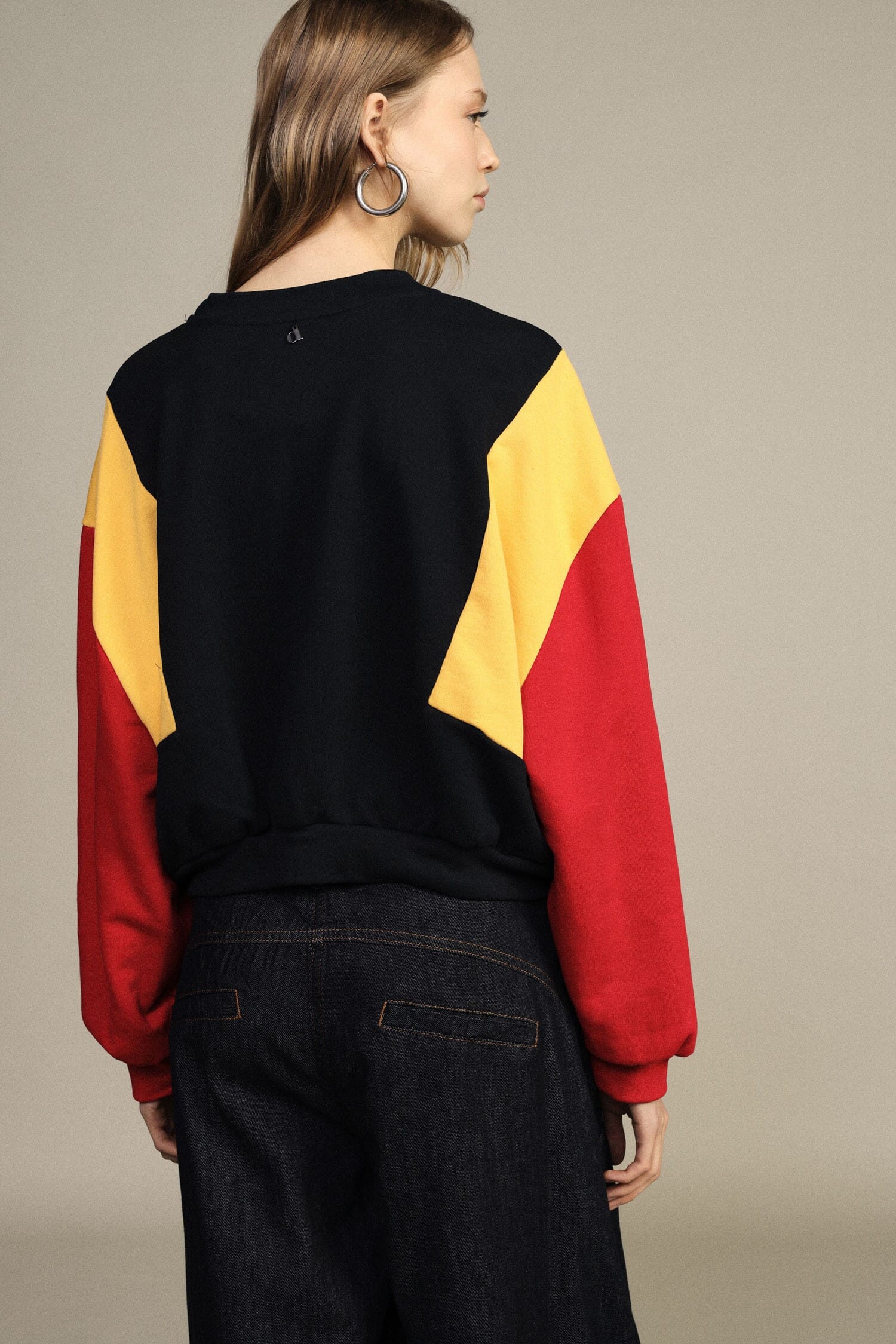 Felpa Crop Girocollo Con Maniche A Blocchi Colore Dixie