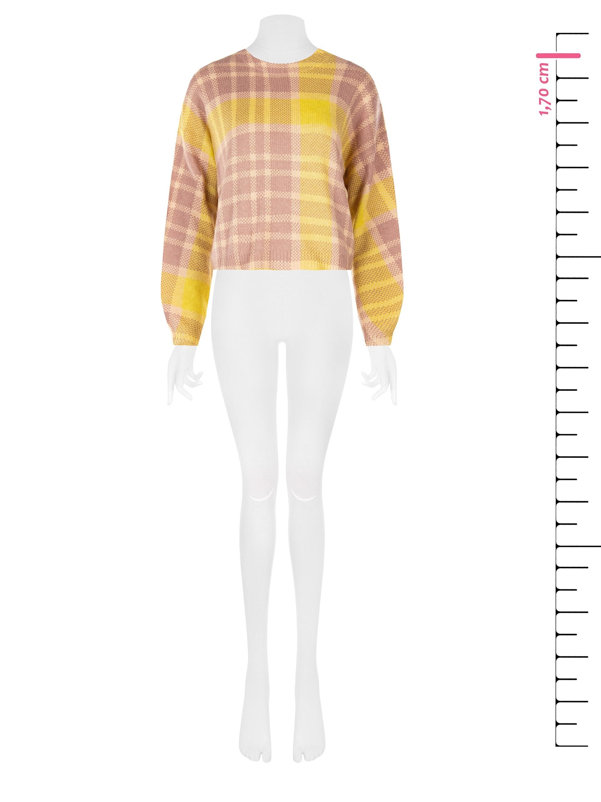 Rinascimento Checked Crew-Neck Jumper