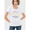 T-Shirt Regular In Jersey Di Cotone Con Stampa Lettering Fracomina