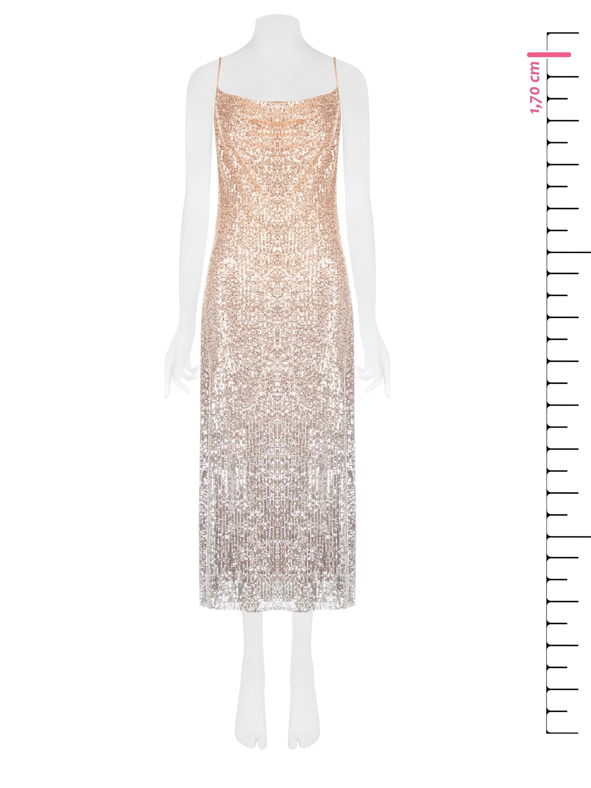 Abito Lungo Sottoveste Ricoperto Di Paillettes Sfumate Rinascimento