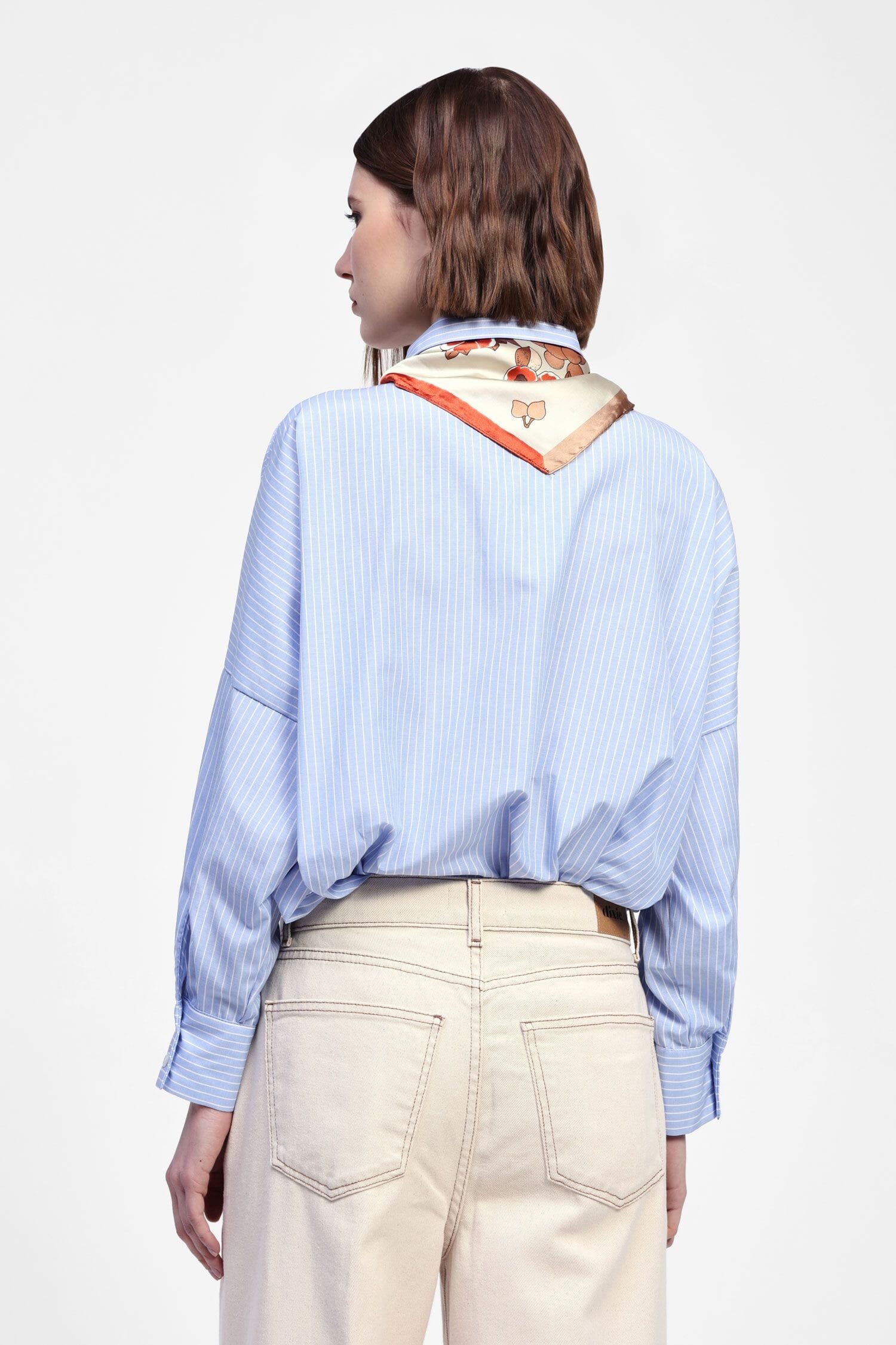 Camicia A Righe Maniche Lunghe E Foulard Dixie