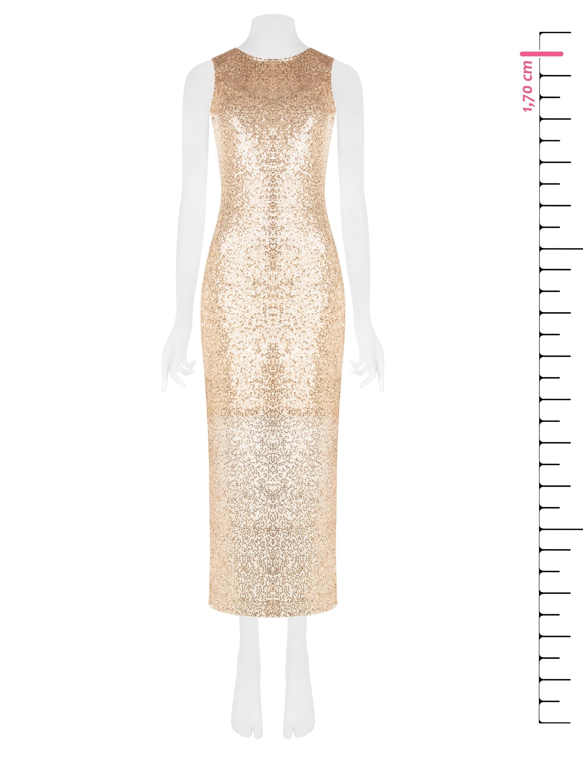 Abito A Tubino In Rete Ricoperto Di Paillettes Con Sottoveste Rinascimento