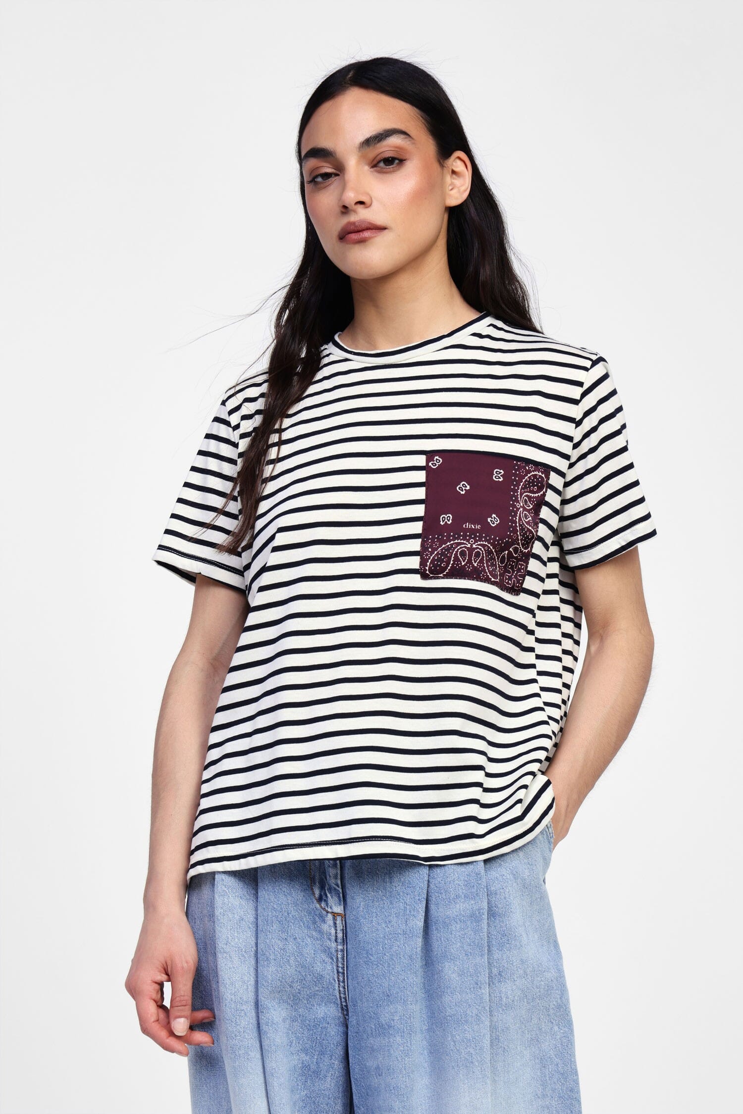 Dixie Paisley Pocket Striped T-Shirt