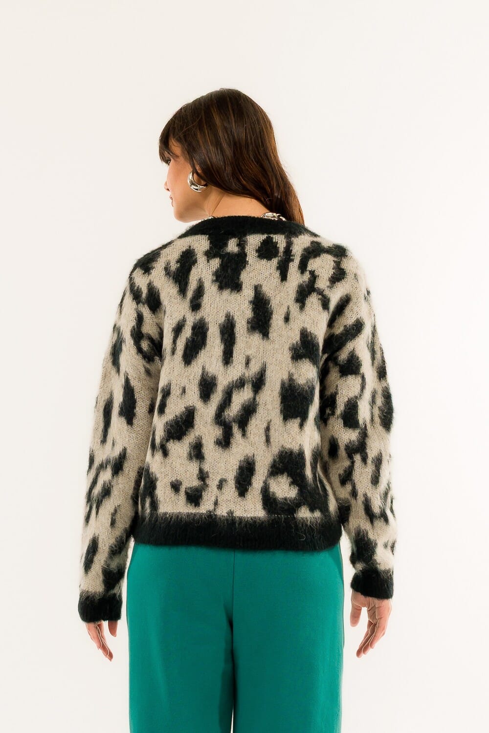 Giacchina Maculata Kontatto