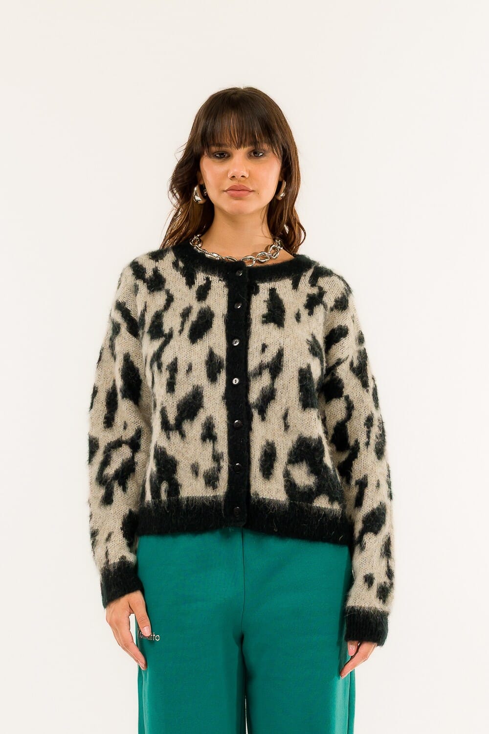 Giacchina Maculata Kontatto