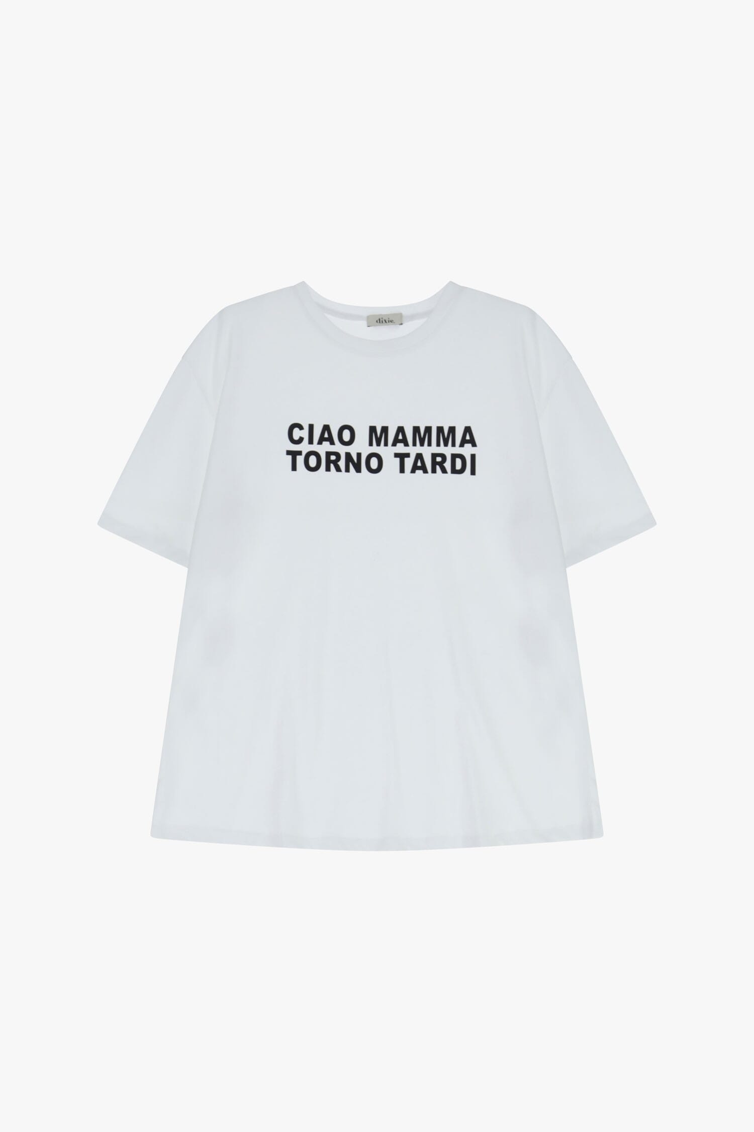 T-Shirt A Maniche Corte Stampa Frontale Dixie