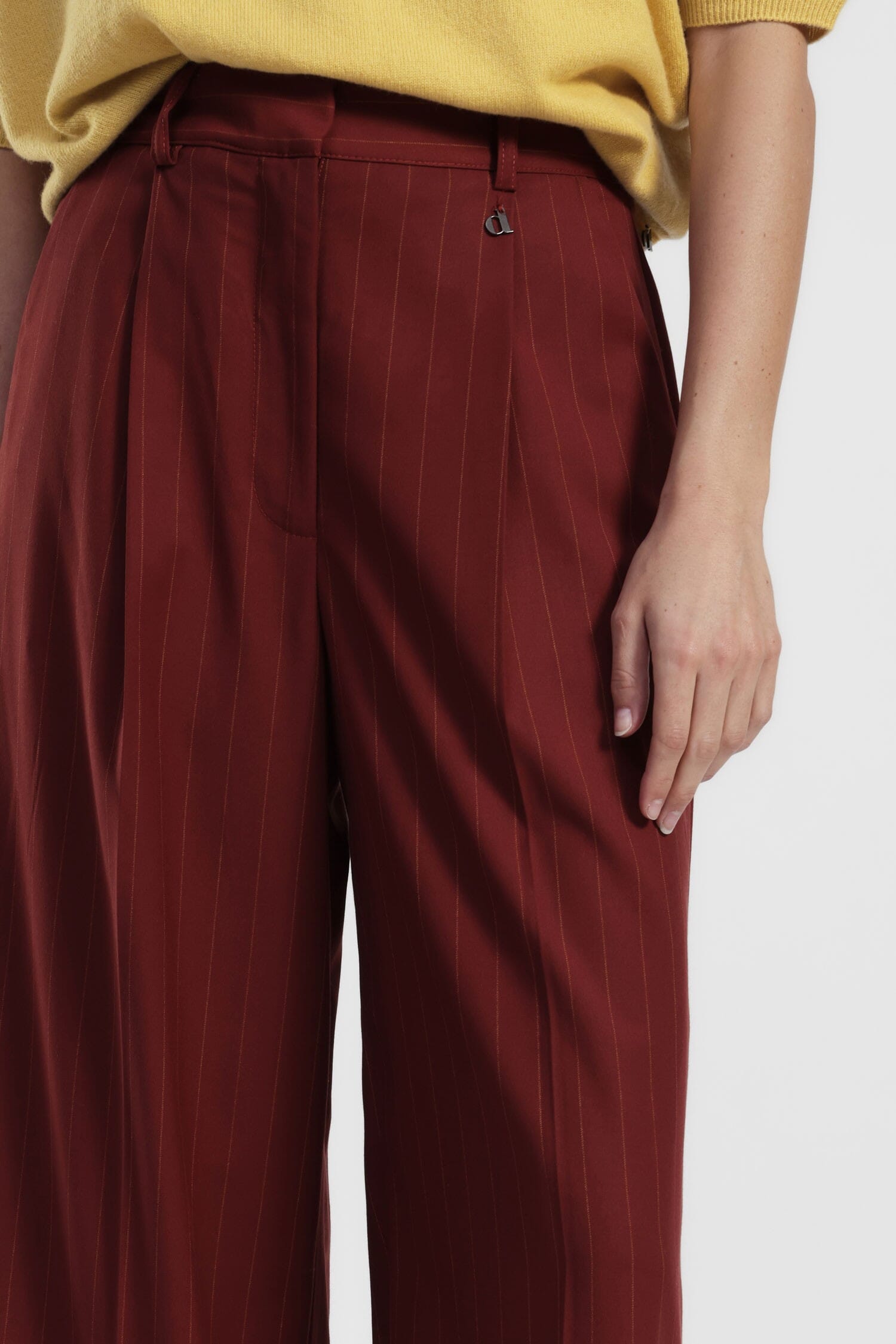 Pantalon rayé Palace avec fléchettes et boucles Dixie