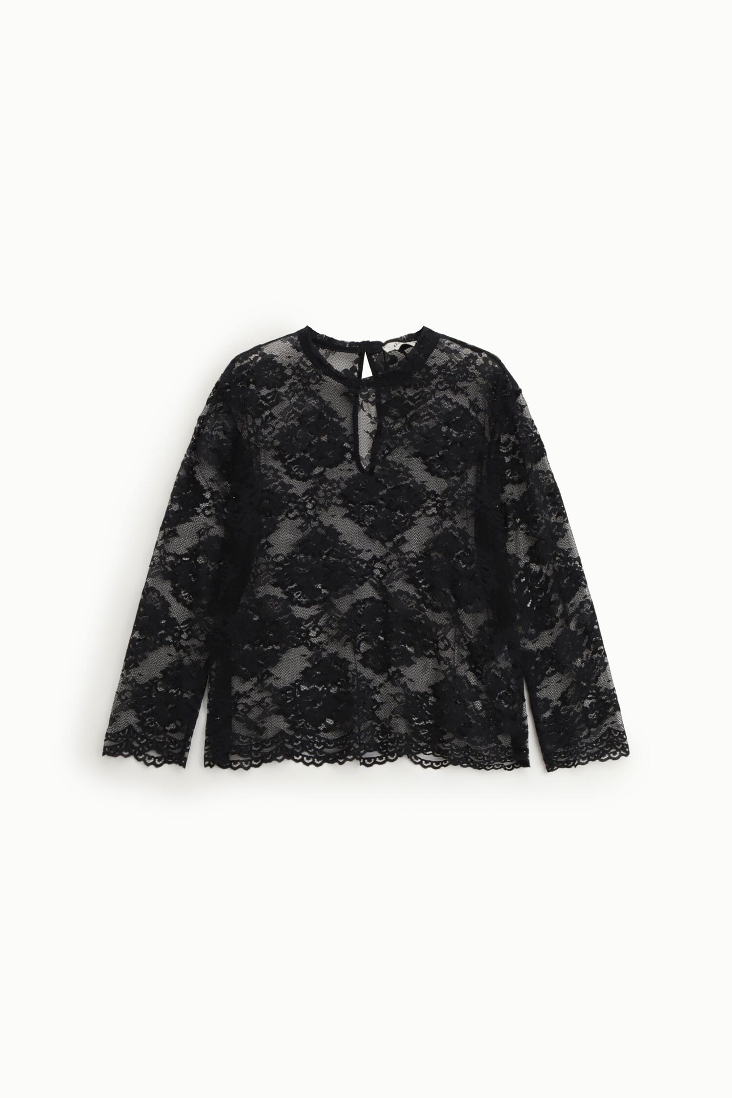 T-Shirt Maniche Lunghe In Pizzo Con Fondo Smerlato Dixie