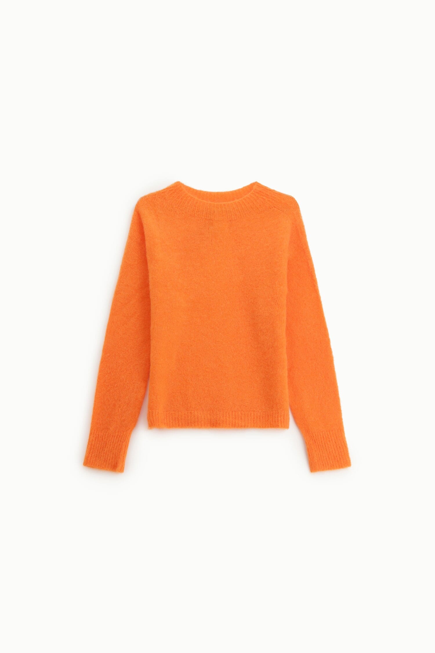 Maglione Girocollo Regular Con Maniche Lunghe Dixie