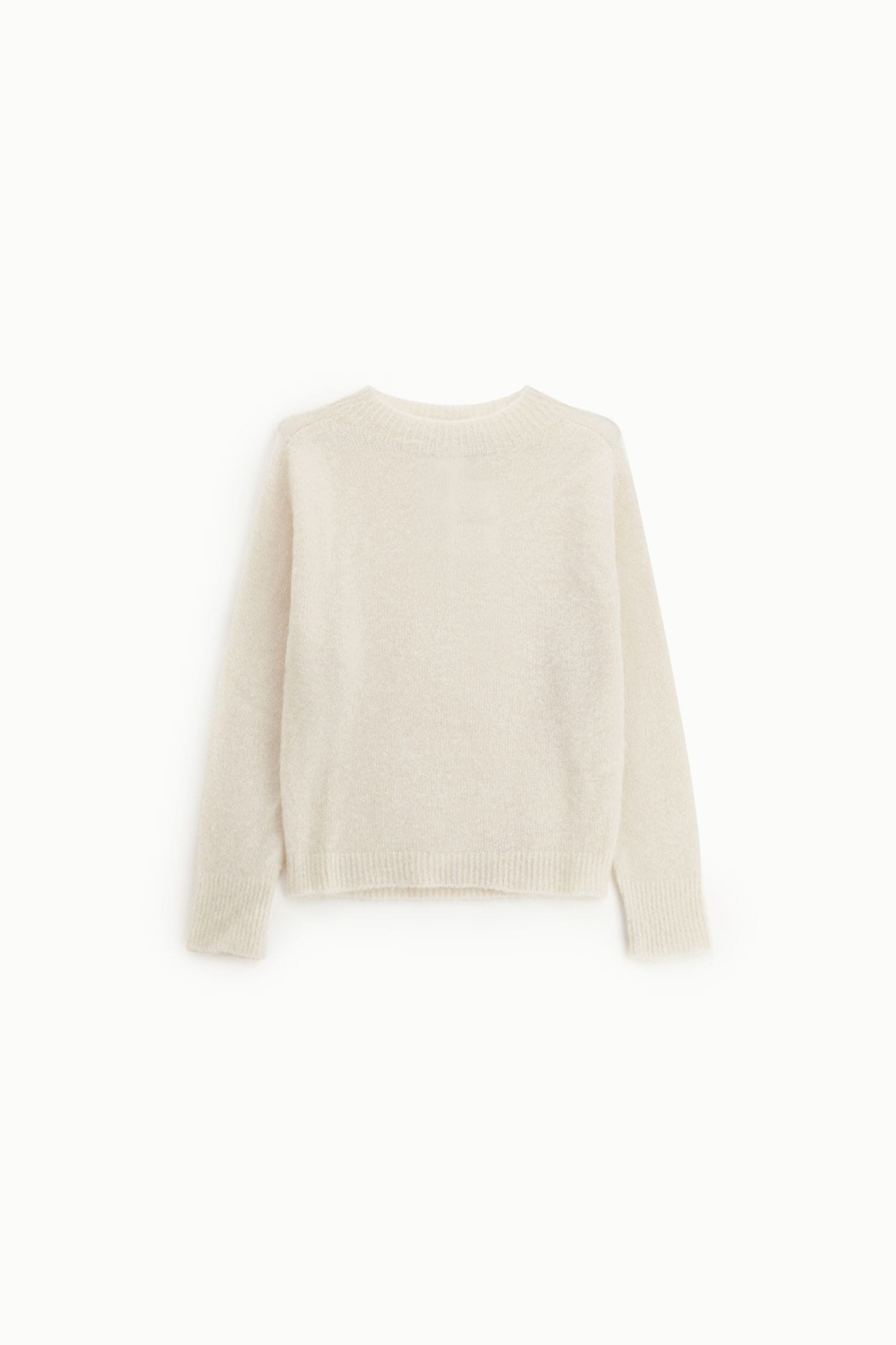 Maglione Girocollo Regular Con Maniche Lunghe Dixie