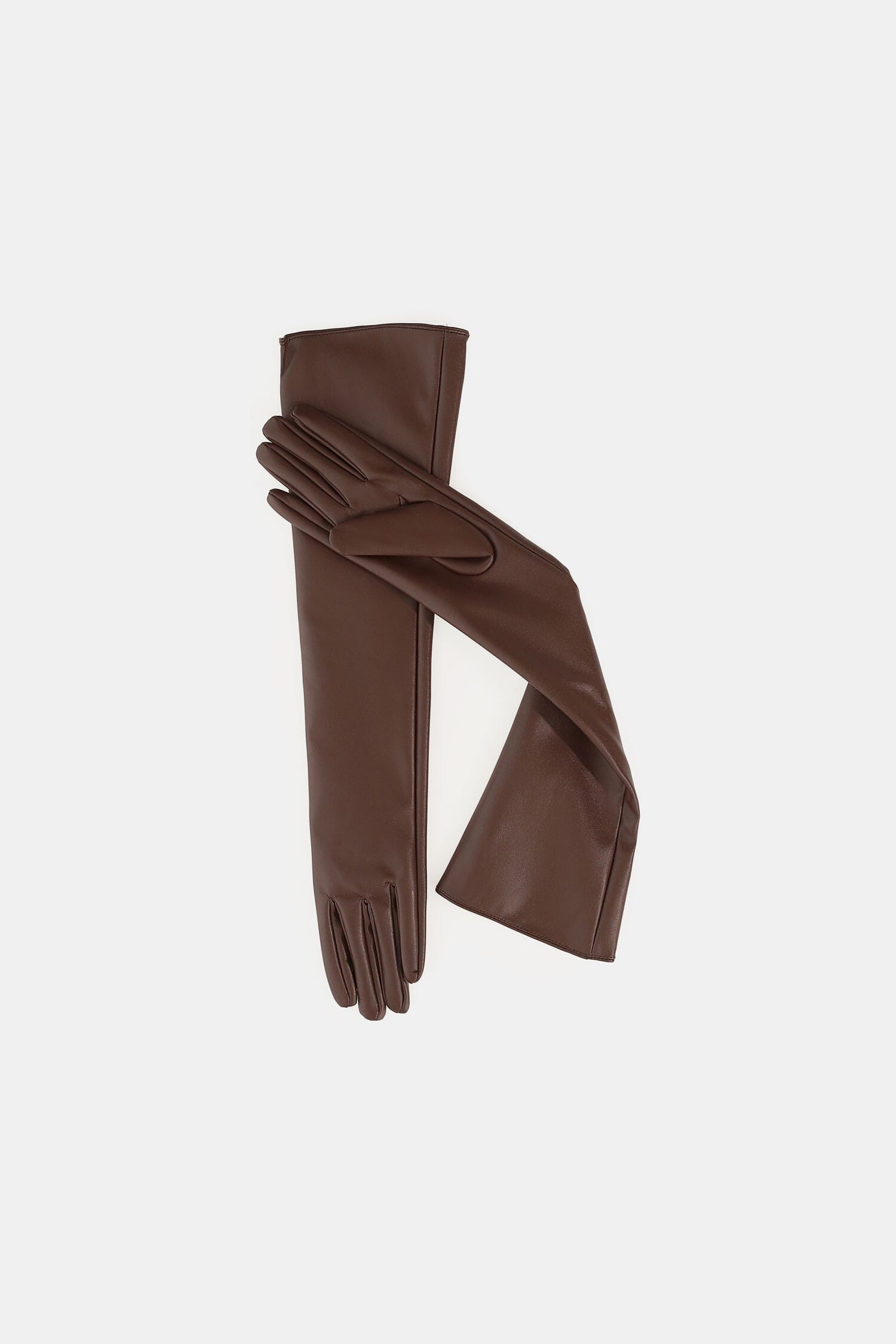 Guanti Lunghi Con Finitura Liscia Dixie