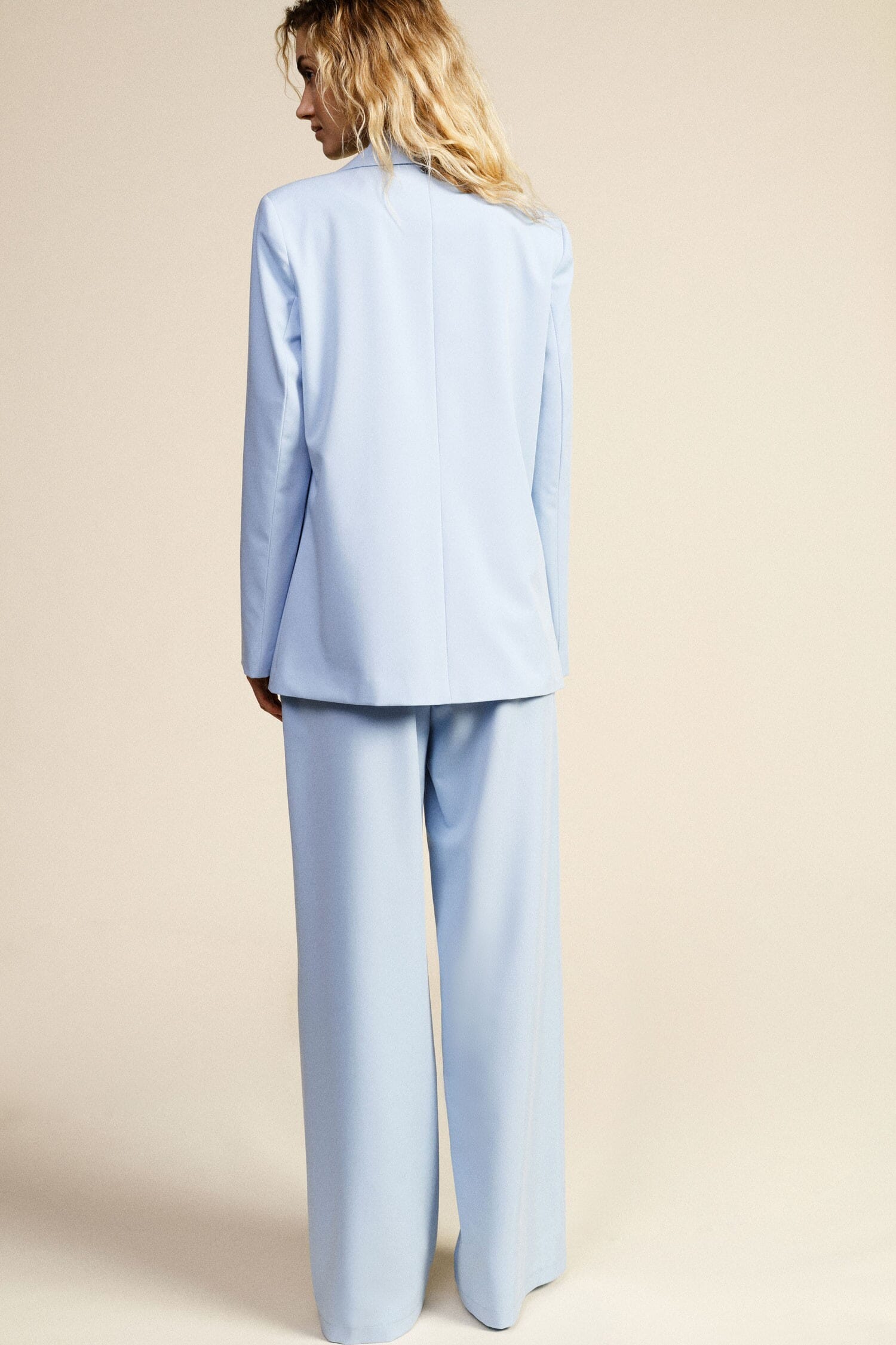 Trousers Palazzo Vita Alta Con Gamba Ampia Dixie