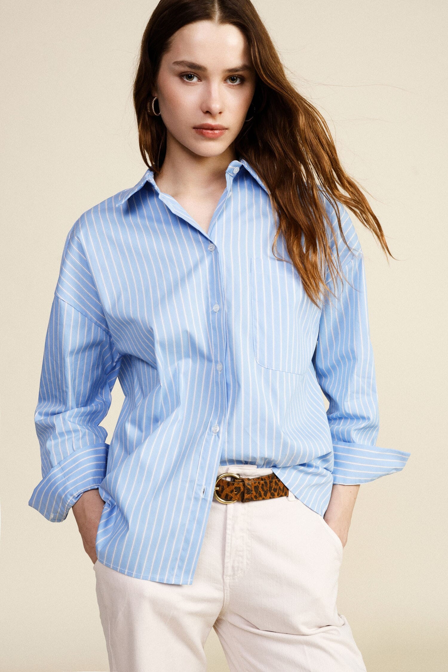 Camicia Rigata Con Taschino E Frase Stampata Dixie