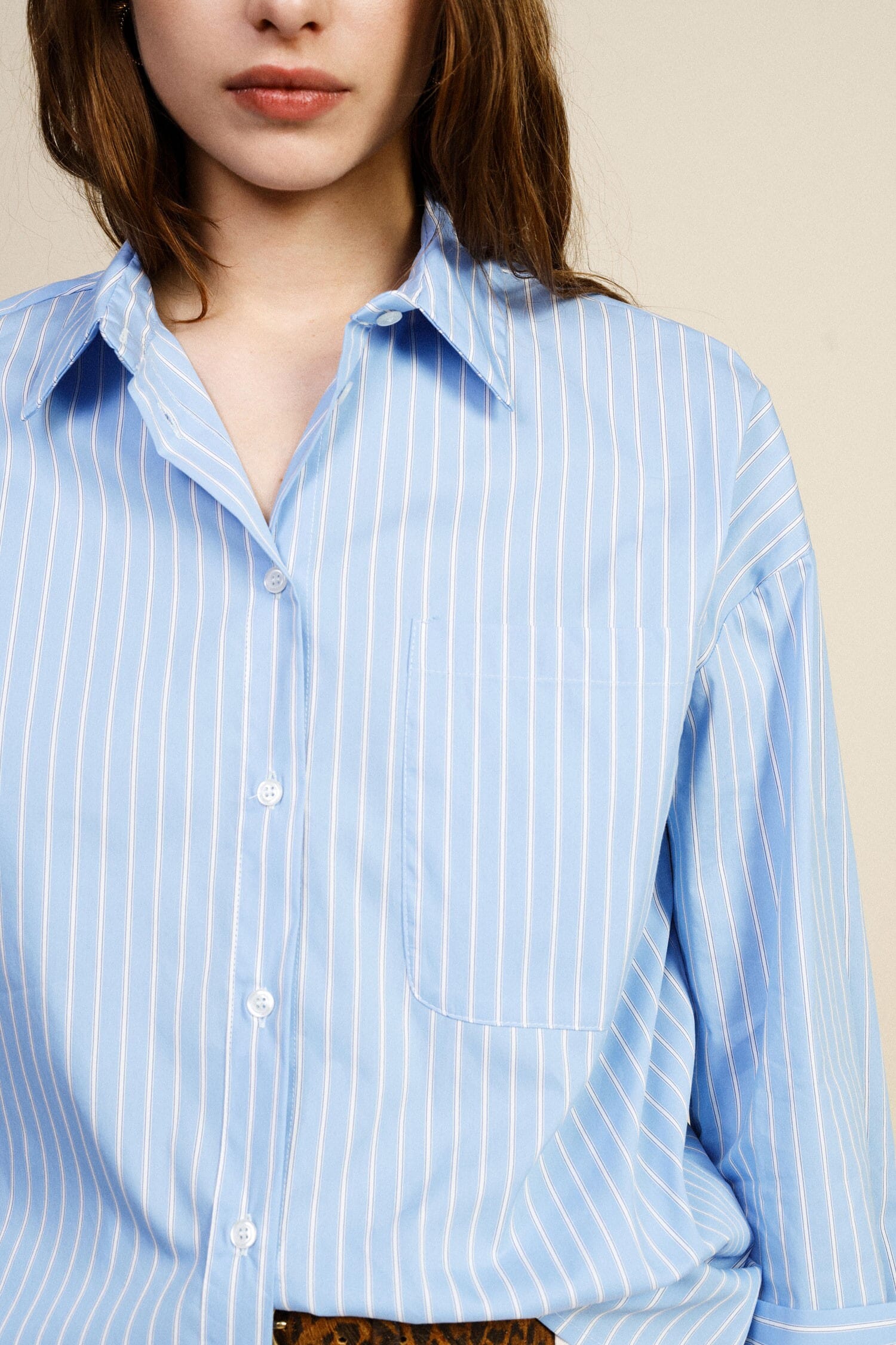 Camicia Rigata Con Taschino E Frase Stampata Dixie