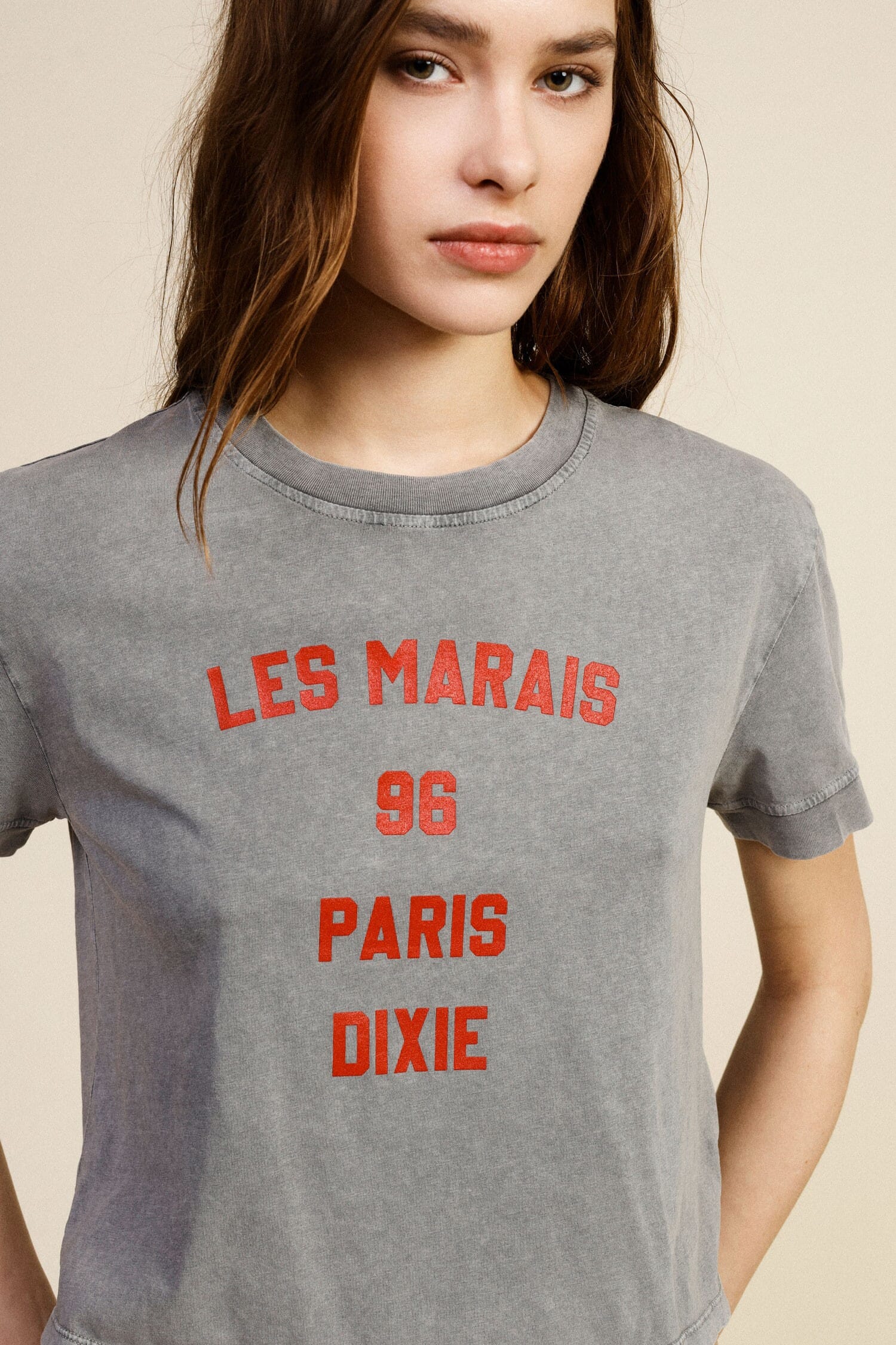 Front Print Cropped T-Shirt Regular Fit Dixie