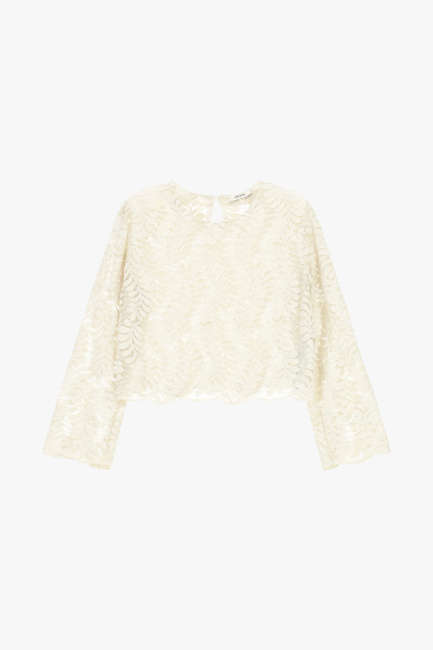 Embroidered Long Sleeve Top And Transparent Details Dixie