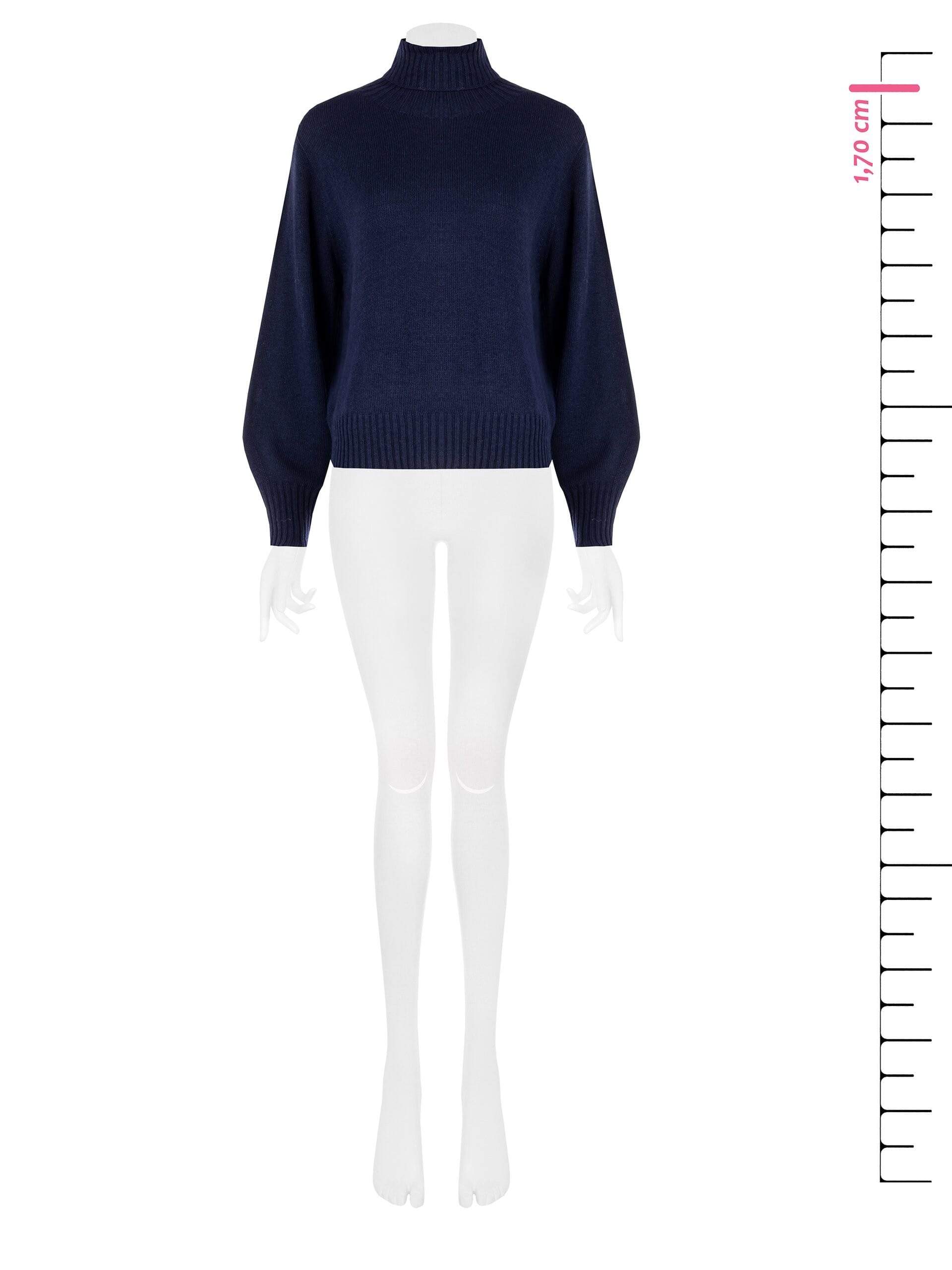 Rinascimento Virgin Wool Blend Turtleneck Sweater