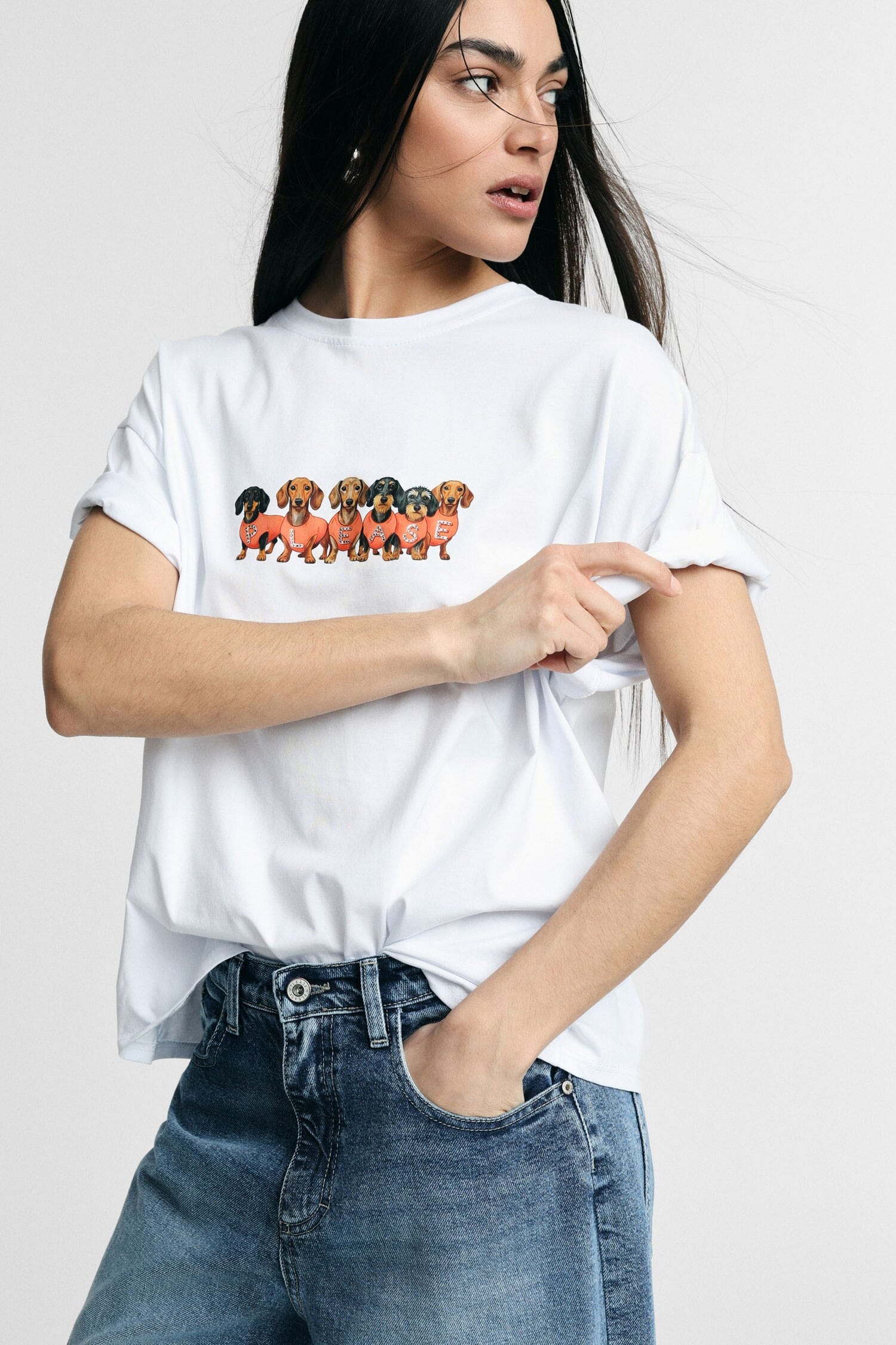 T-Shirt Dachshunds Print Fit Regular Crew Neck Please