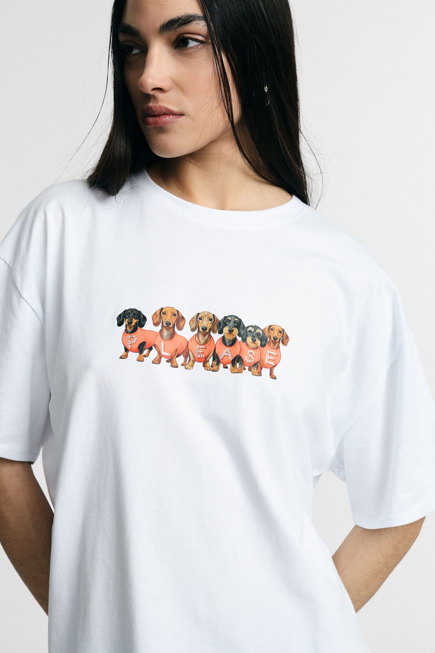 T-Shirt Dachshunds Print Fit Regular Crew Neck Please